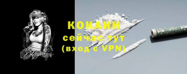 сатива Богородск
