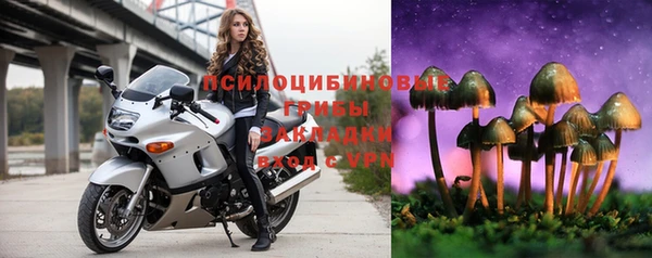синтетический гашиш Богданович