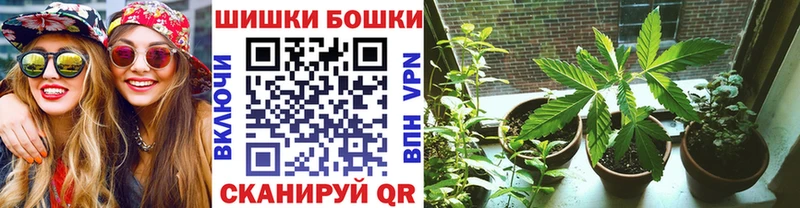 где купить наркоту Циолковский OMG зеркало МАРИХУАНА Bruce Banner